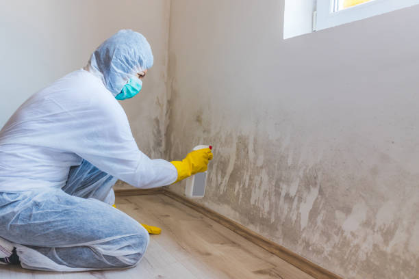Best Airborne Mold Testing  in Crescent City, FL