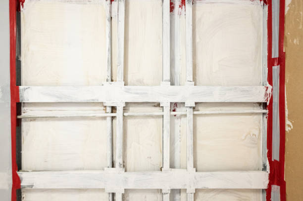 Best Comprehensive Air Testing for Mold Contaminants  in Crescent City, FL