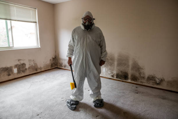 Best Emergency Mold Remediation  in Crescent City, FL